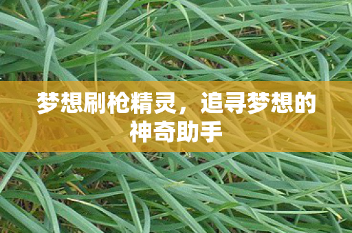 梦想刷枪精灵，追寻梦想的神奇助手