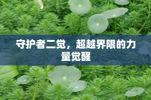 守护者二觉，超越界限的力量觉醒