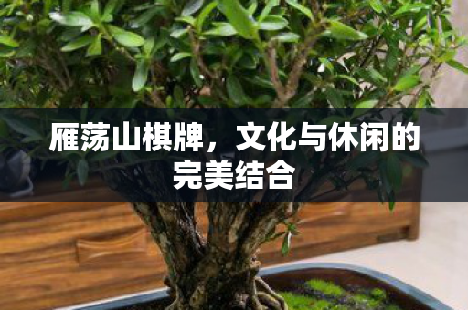 雁荡山棋牌,文化与休闲的完美结合 雁荡山棋牌,文化与休闲的完美结合