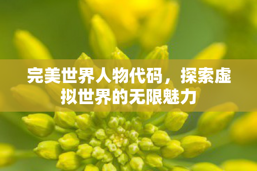 完美世界人物代码,探索虚拟世界的无限魅力 完美世界人物代码,探索虚拟世界的无限魅力