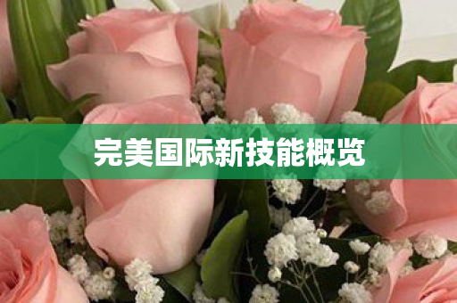 完美国际新技能概览 完美国际新技能概览