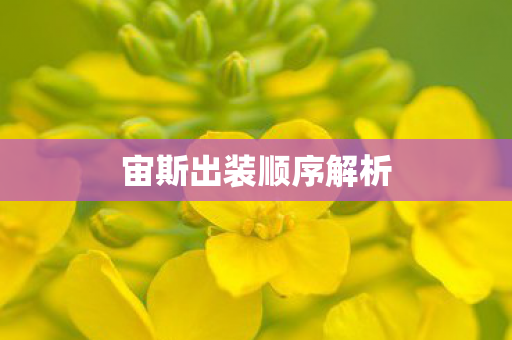 宙斯出装顺序解析