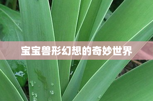 宝宝兽形幻想的奇妙世界