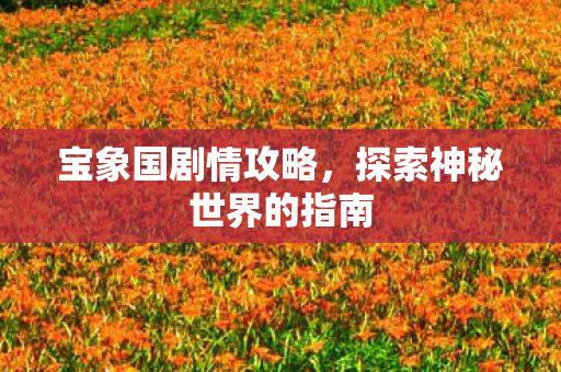宝象国剧情攻略,探索神秘世界的指南 宝象国剧情攻略,探索神秘世界的指南