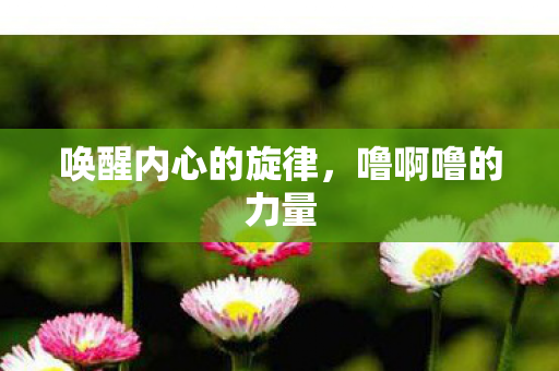 唤醒内心的旋律,噜啊噜的力量 唤醒内心的旋律,噜啊噜的力量