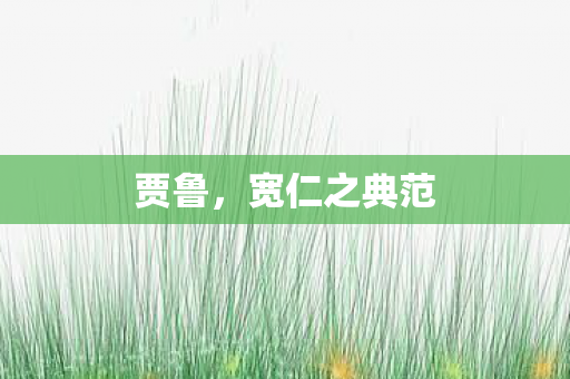 贾鲁，宽仁之典范