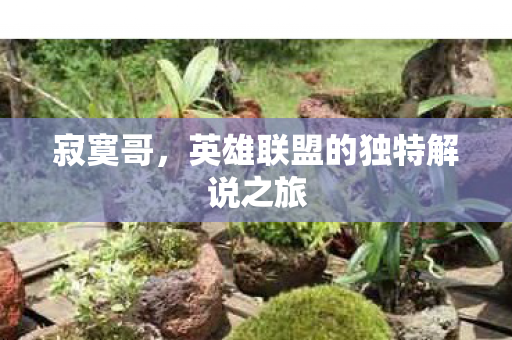 寂寞哥，英雄联盟的独特解说之旅