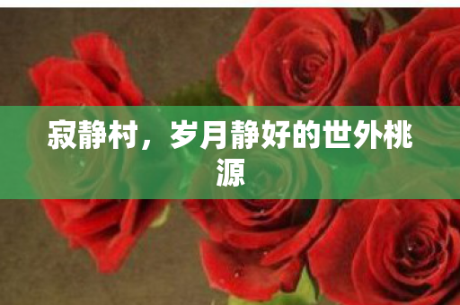 寂静村,岁月静好的世外桃源 寂静村,岁月静好的世外桃源