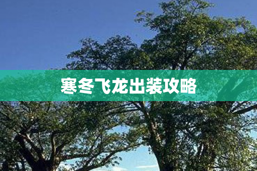寒冬飞龙出装攻略