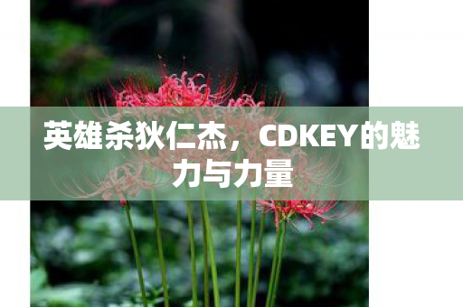 英雄杀狄仁杰,CDKEY的魅力与力量 英雄杀狄仁杰,CDKEY的魅力与力量