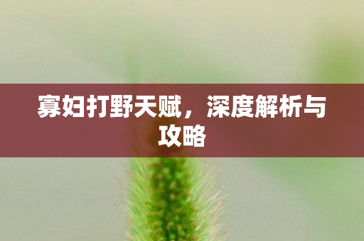 寡妇打野天赋,深度解析与攻略 寡妇打野天赋,深度解析与攻略