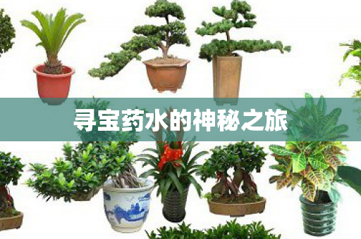 寻宝药水的神秘之旅