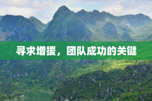 寻求增援,团队成功的关键 寻求增援,团队成功的关键