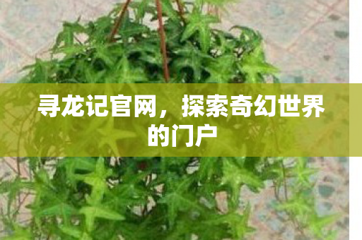 寻龙记官网，探索奇幻世界的门户