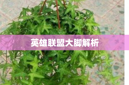英雄联盟大脚解析