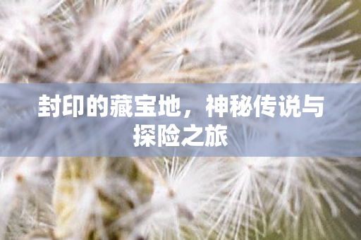 封印的藏宝地,神秘传说与探险之旅 封印的藏宝地,神秘传说与探险之旅