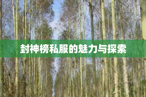 封神榜私服的魅力与探索 封神榜私服的魅力与探索