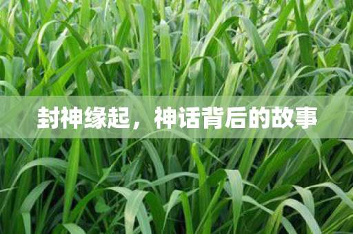 封神缘起，神话背后的故事