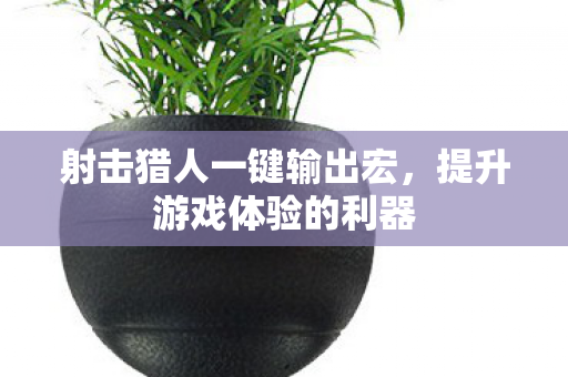 射击猎人一键输出宏,提升游戏体验的利器 射击猎人一键输出宏,提升游戏体验的利器