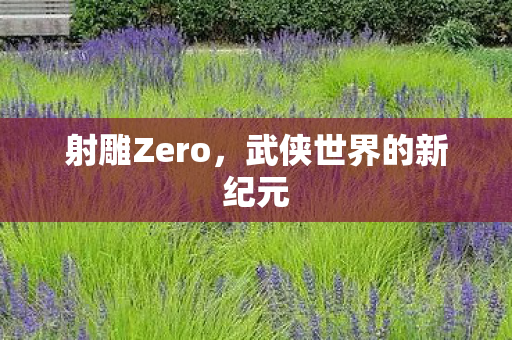 射雕Zero，武侠世界的新纪元