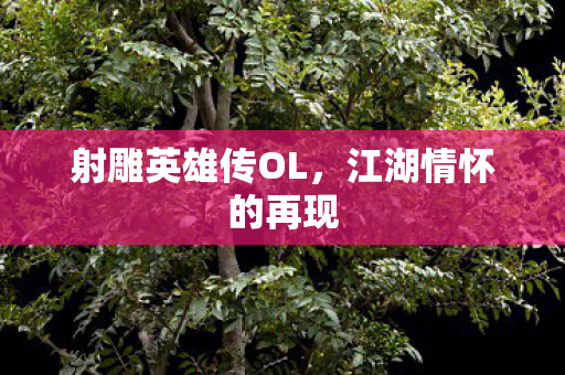 射雕英雄传OL,江湖情怀的再现 射雕英雄传OL,江湖情怀的再现