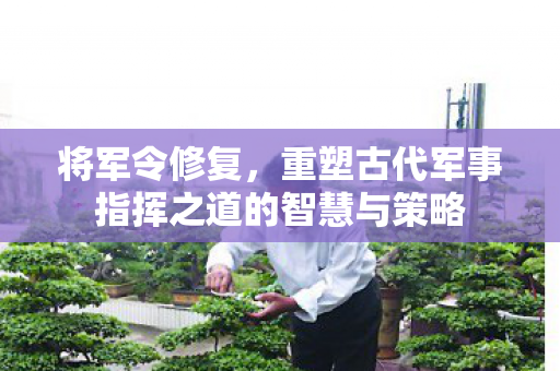 将军令修复,重塑古代军事指挥之道的智慧与策略 将军令修复,重塑古代军事指挥之道的智慧与策略