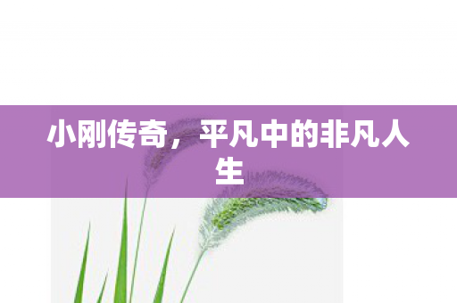 小刚传奇,平凡中的非凡人生 小刚传奇,平凡中的非凡人生