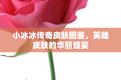 小冰冰传奇皮肤图鉴,英雄皮肤的华丽盛宴 小冰冰传奇皮肤图鉴,英雄皮肤的华丽盛宴