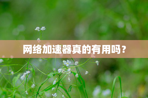 网络加速器真的有用吗？