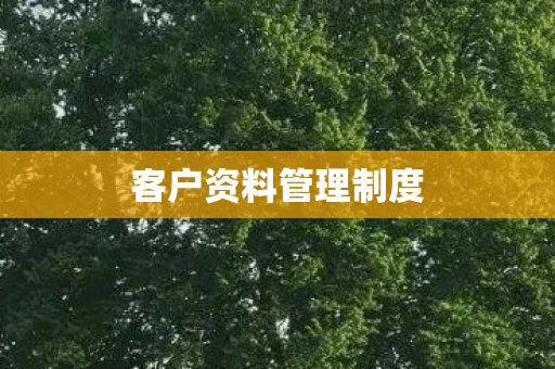 客户资料管理制度 客户资料管理制度