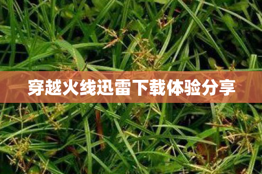 穿越火线迅雷下载体验分享 穿越火线迅雷下载体验分享