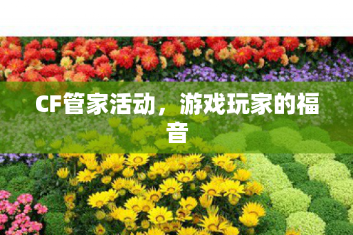 CF管家活动,游戏玩家的福音 CF管家活动,游戏玩家的福音