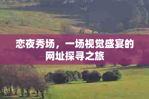 恋夜秀场,一场视觉盛宴的网址探寻之旅 恋夜秀场,一场视觉盛宴的网址探寻之旅