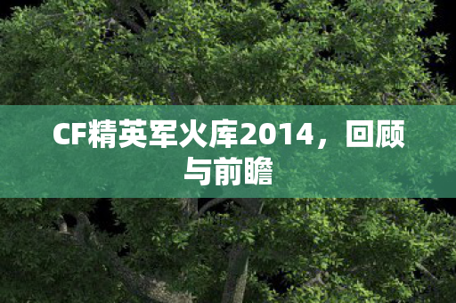 CF精英军火库2014,回顾与前瞻 CF精英军火库2014,回顾与前瞻