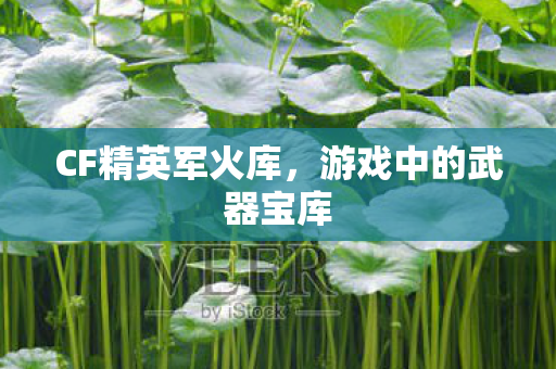 CF精英军火库，游戏中的武器宝库