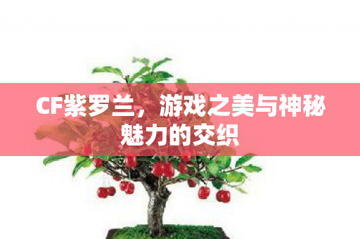 CF紫罗兰,游戏之美与神秘魅力的交织 CF紫罗兰,游戏之美与神秘魅力的交织