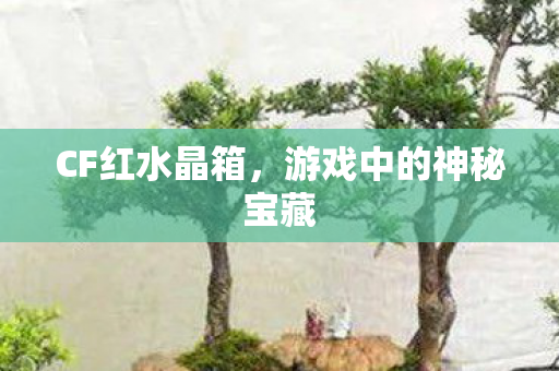 CF红水晶箱，游戏中的神秘宝藏