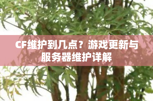 CF维护到几点？游戏更新与服务器维护详解