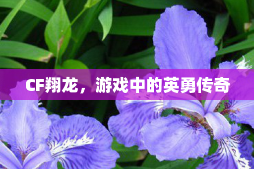 CF翔龙，游戏中的英勇传奇