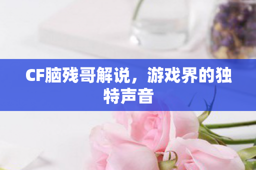 CF脑残哥解说,游戏界的独特声音 CF脑残哥解说,游戏界的独特声音