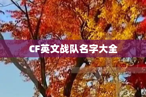 CF英文战队名字大全 CF英文战队名字大全