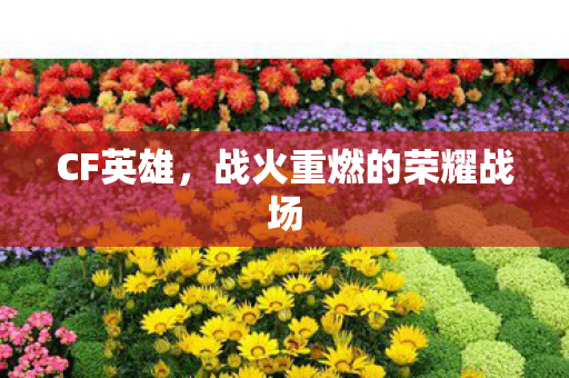 CF英雄,战火重燃的荣耀战场 CF英雄,战火重燃的荣耀战场
