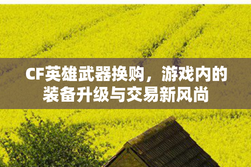 CF英雄武器换购,游戏内的装备升级与交易新风尚 CF英雄武器换购,游戏内的装备升级与交易新风尚