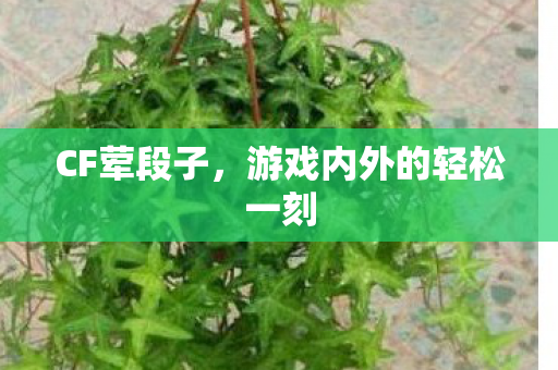 CF荤段子，游戏内外的轻松一刻