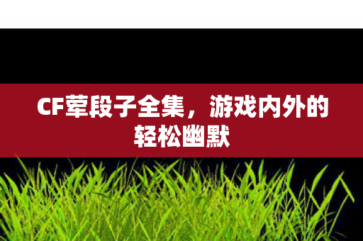 CF荤段子全集，游戏内外的轻松幽默