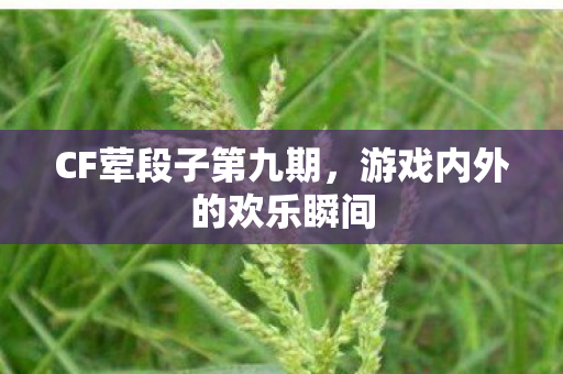 CF荤段子第九期，游戏内外的欢乐瞬间