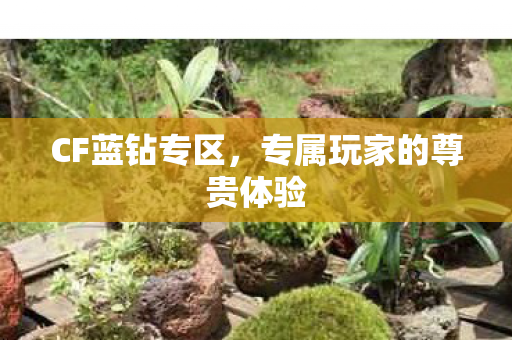 CF蓝钻专区,专属玩家的尊贵体验 CF蓝钻专区,专属玩家的尊贵体验