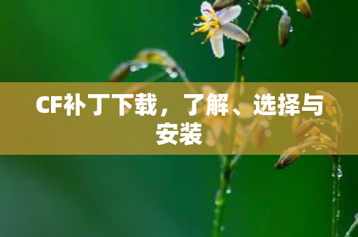 CF补丁下载,了解、选择与安装 CF补丁下载,了解、选择与安装
