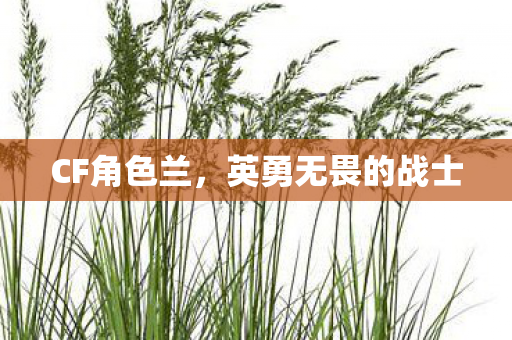 CF角色兰,英勇无畏的战士 CF角色兰,英勇无畏的战士