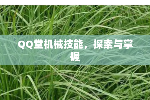 QQ堂机械技能，探索与掌握